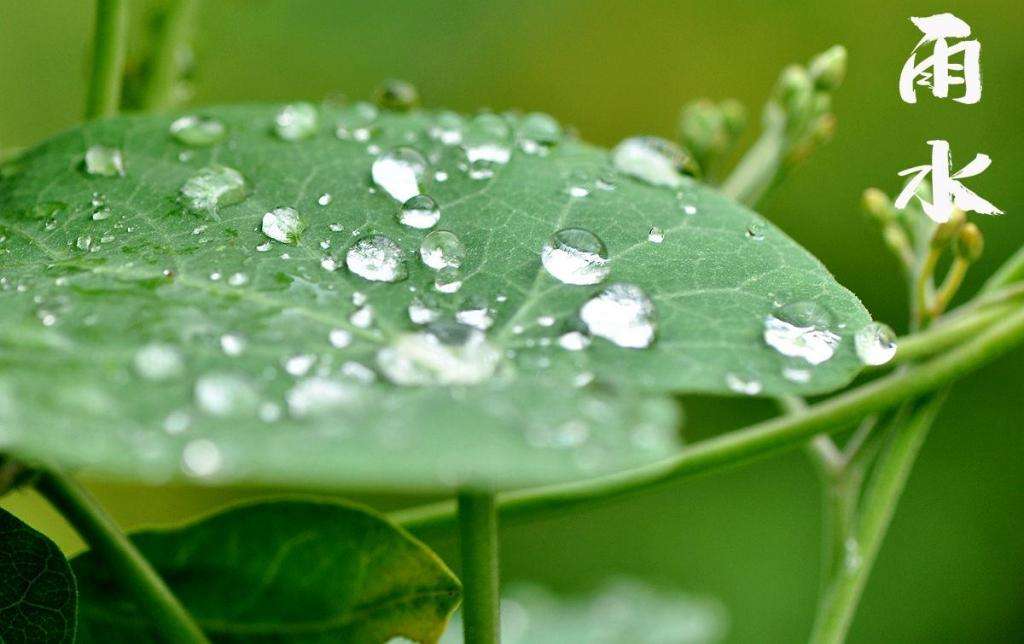 雨水！